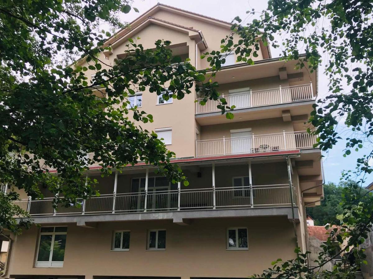 Apartmani & Spa Matin Breg Josanicka Banja Esterno foto
